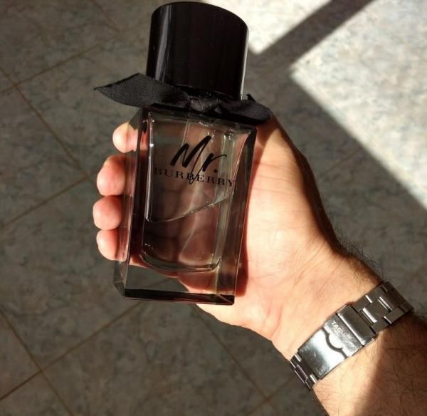 A Sensual Journey Through Aromatic and Woody Notes